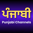 Best Punjabi IPTV Service Provider in USA