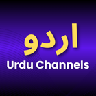 Best Urdu IPTV Service Provider in the USA